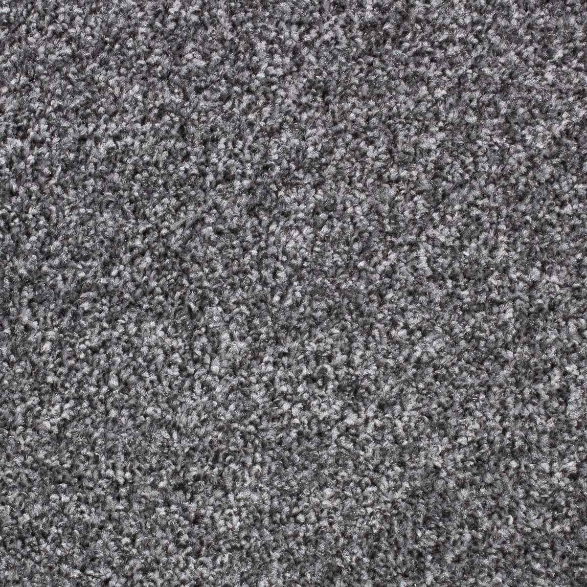 Winchester Fb Platinum 75 Carpet