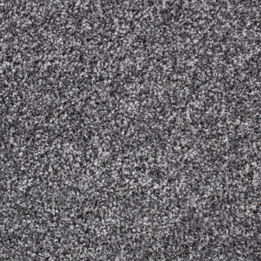 Winchester Fb Platinum 75 Carpet