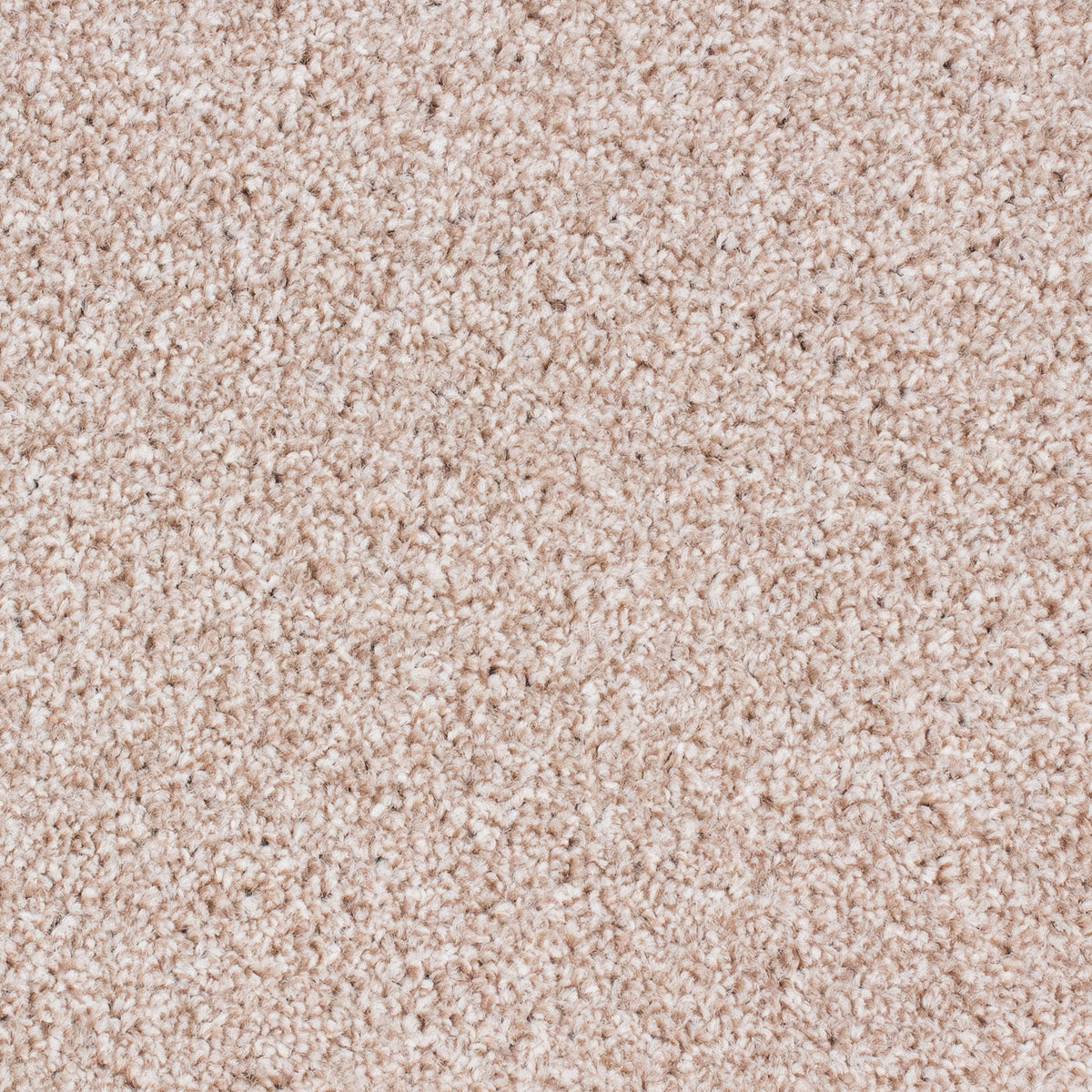 Winchester Fb Pebble 69 Carpet