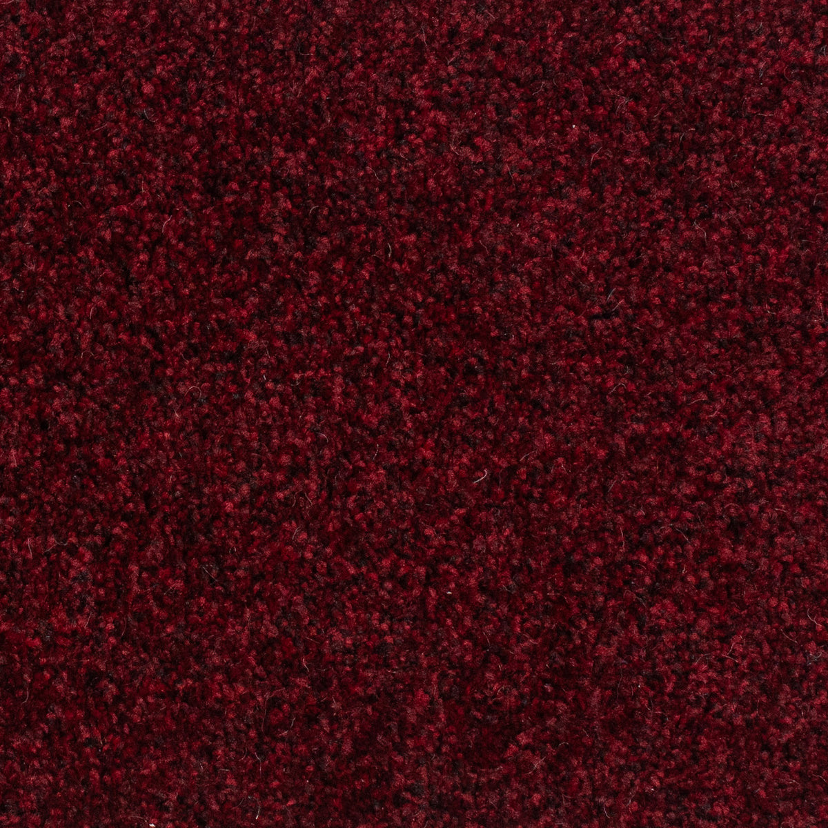 Winchester Fb Bordeaux 15 Carpet