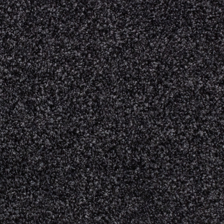 Winchester AB Anthracite 79 Carpet