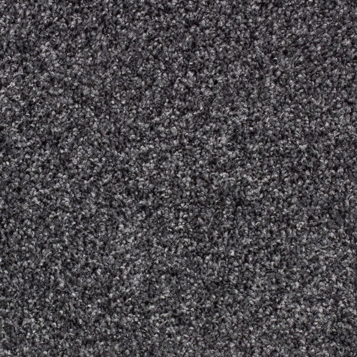 Winchester AB Gunmetal 78 Carpet