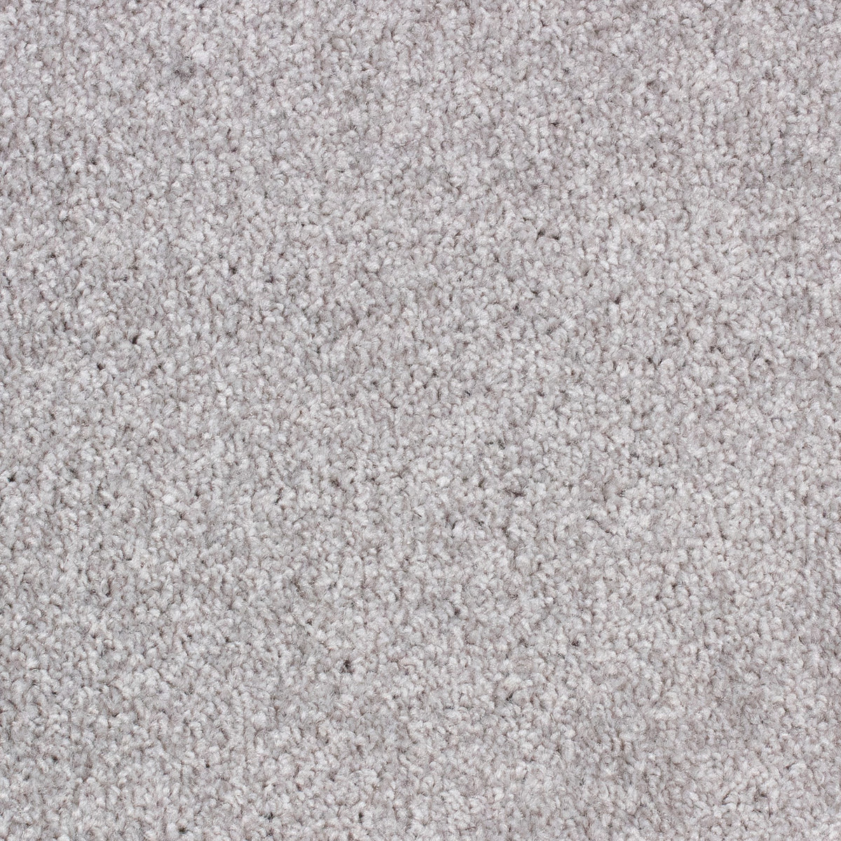 Winchester AB Silver 72 Carpet