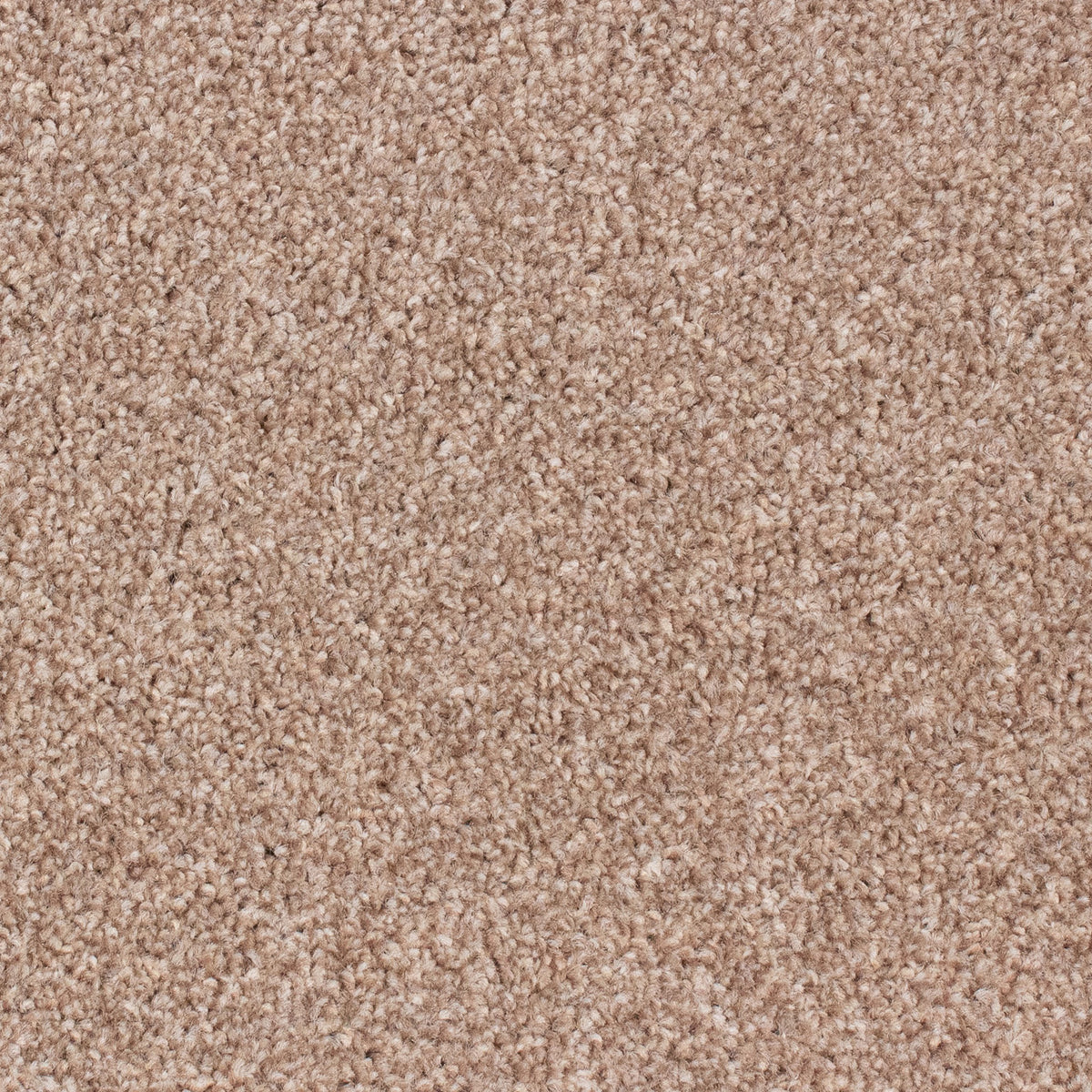 Winchester AB Biscuit 90 Carpet