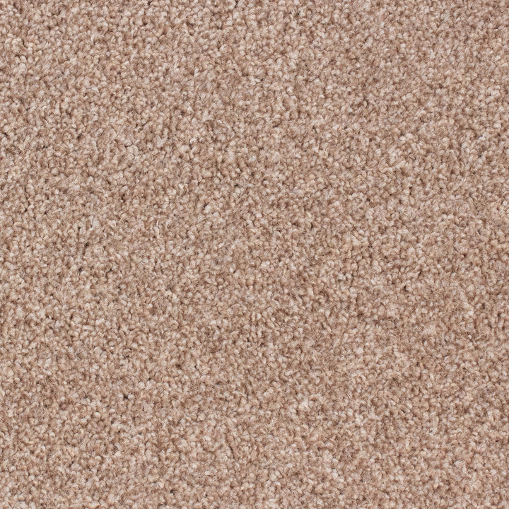 Winchester AB Biscuit 90 Carpet