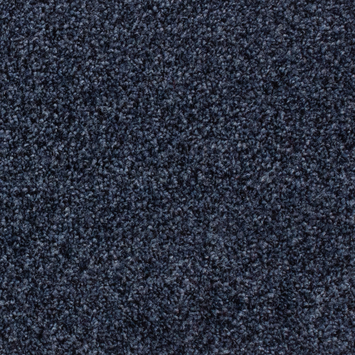 Winchester AB Denim 84 Carpet