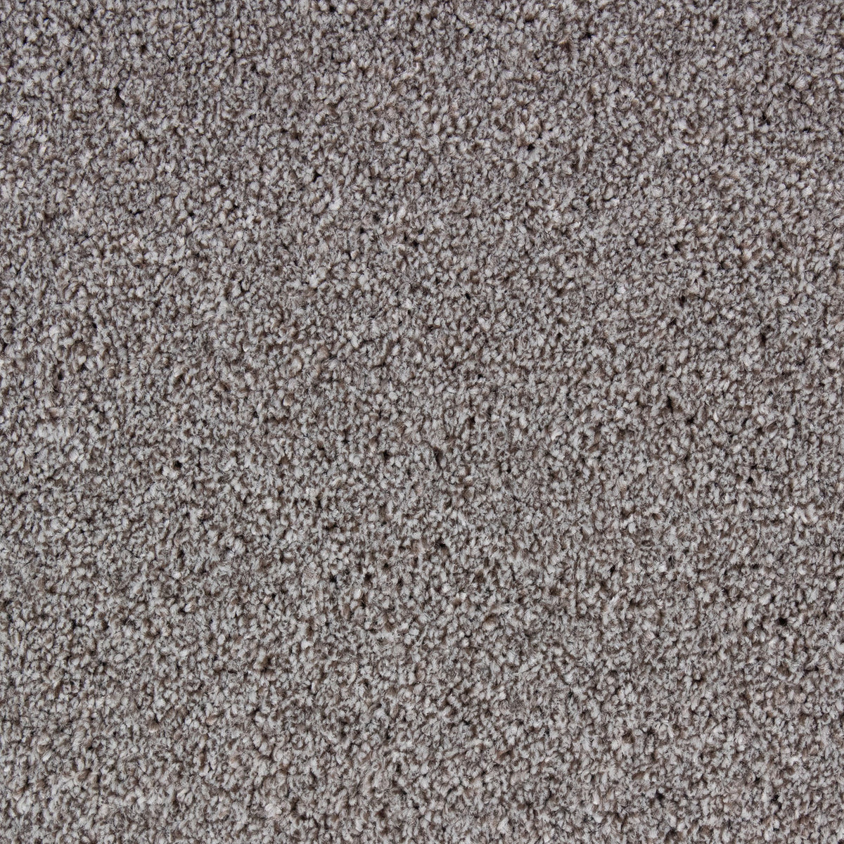 Bellagio Elite Natural 90 Carpet