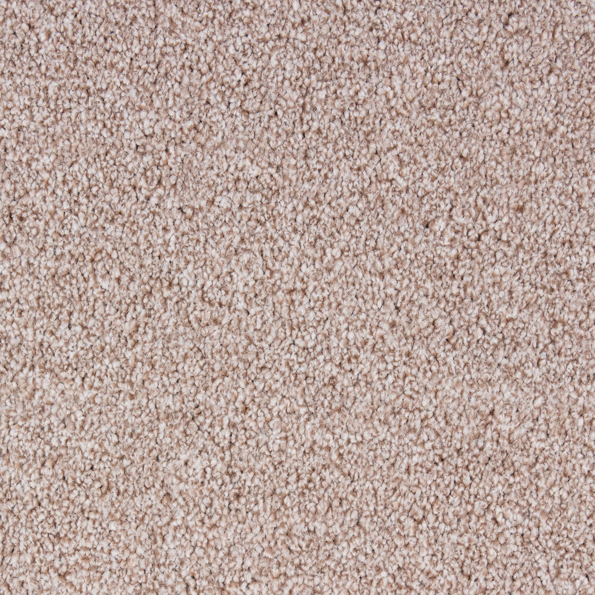 Bellagio Elite Pebble 65 Carpet