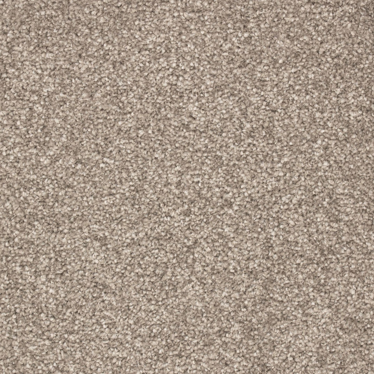 Bellagio Elite Cotton 190 Carpet
