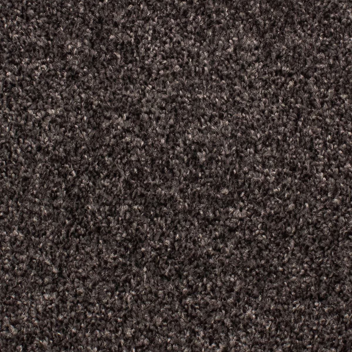 Beta Twist 77 Carpet