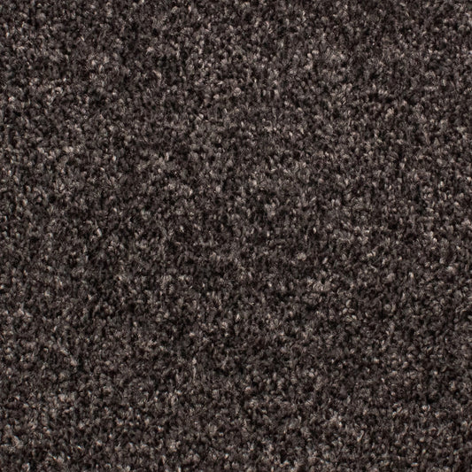 Beta Twist 77 Carpet