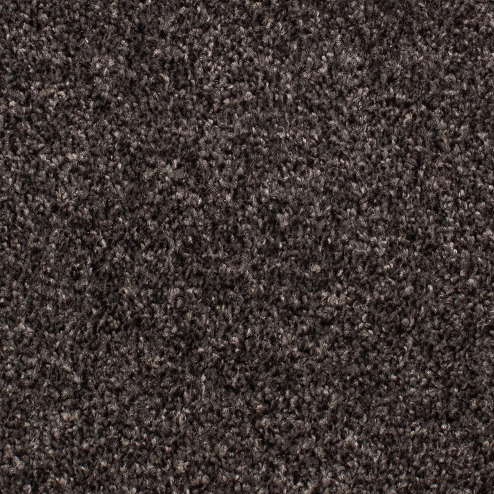 Beta Twist 77 Carpet
