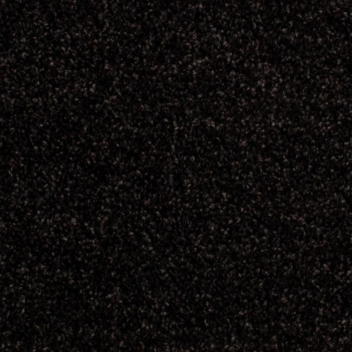 Beta Twist 78 Carpet