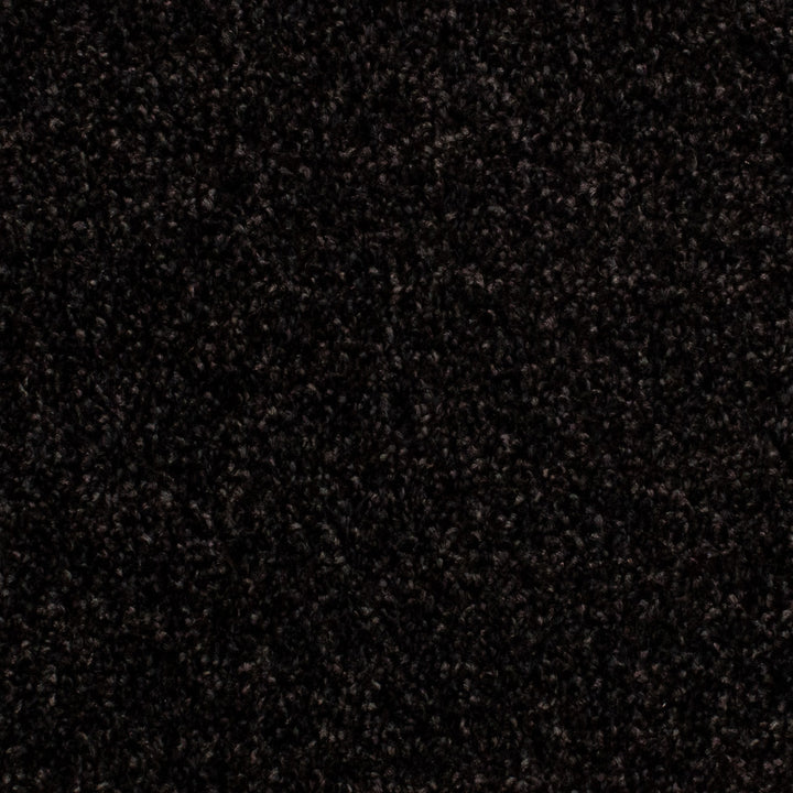 Beta Twist 78 Carpet