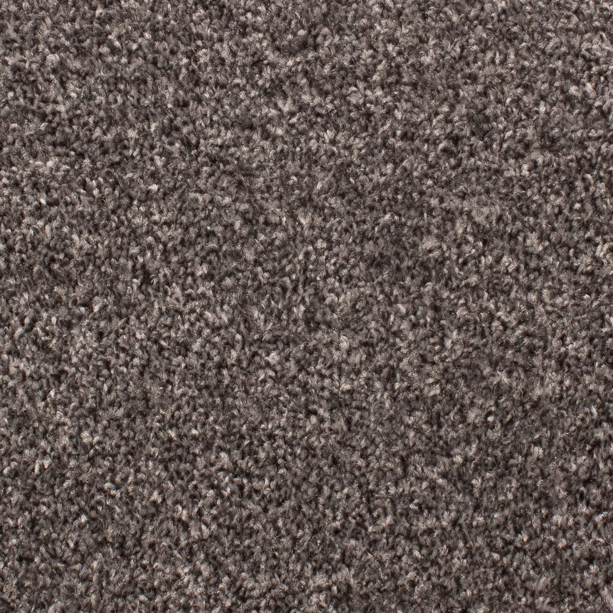 Beta Twist 73 Carpet