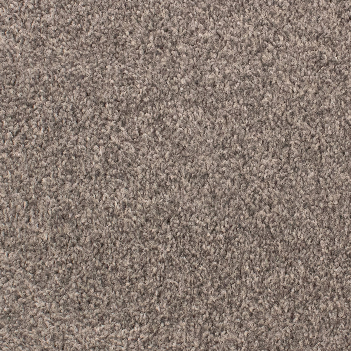Beta Twist 75 Carpet