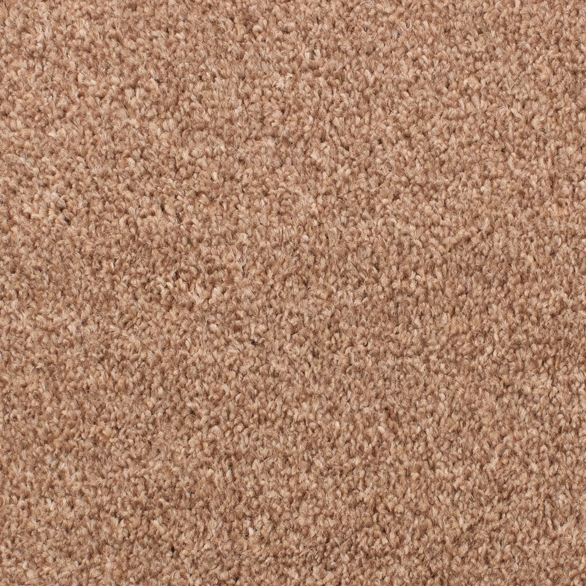 Beta Twist 91 Carpet