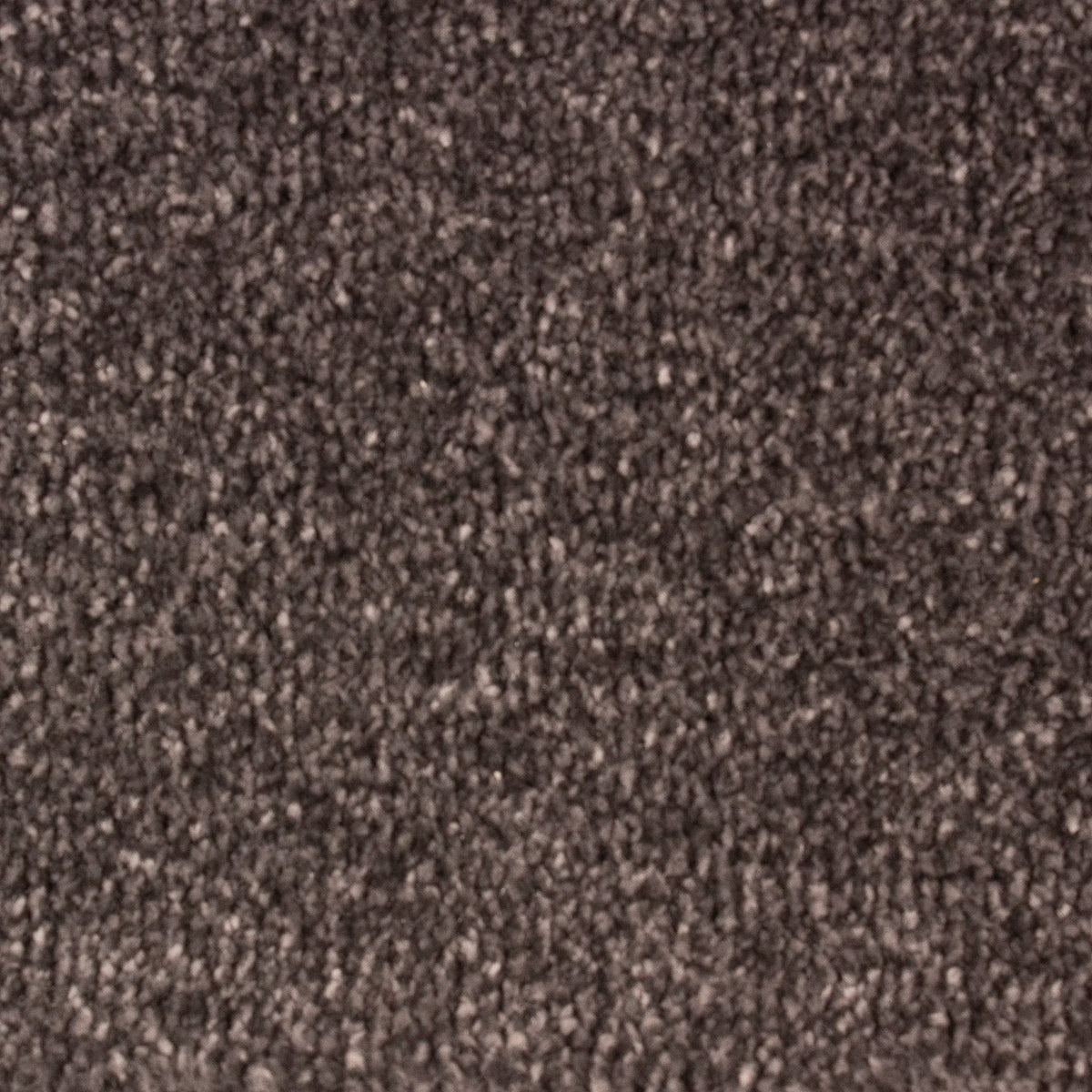 Montego Heavy Felt Gunmetal 179 Carpet