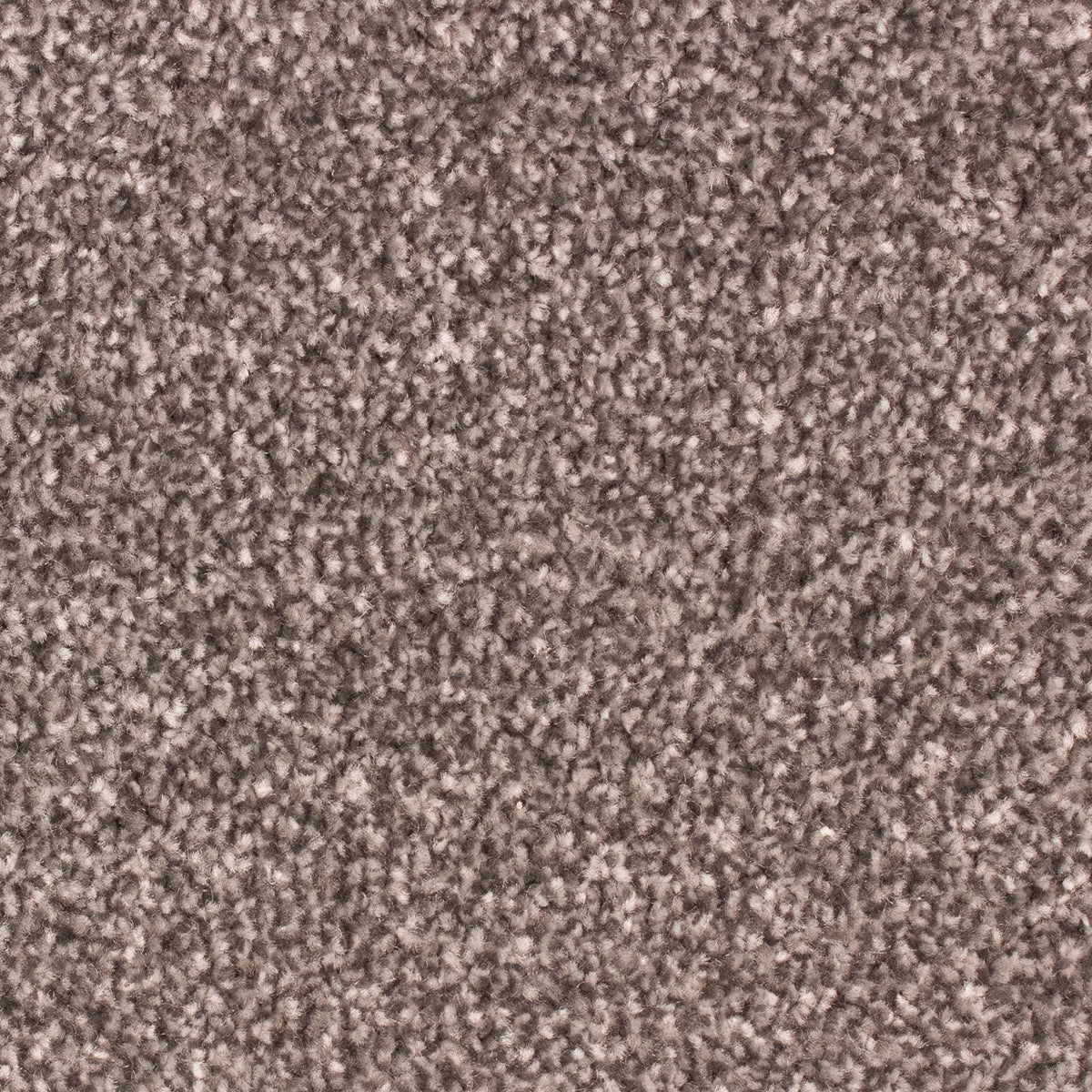 Montego Heavy Felt Slate 176 Carpet