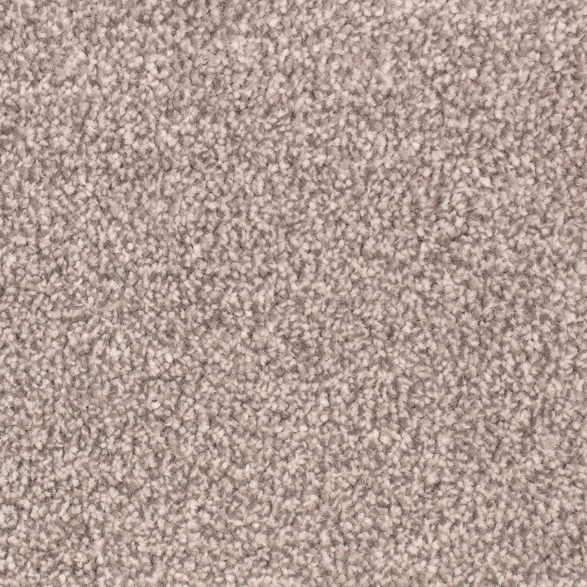 Montego Heavy Felt Pewter 173 Carpet