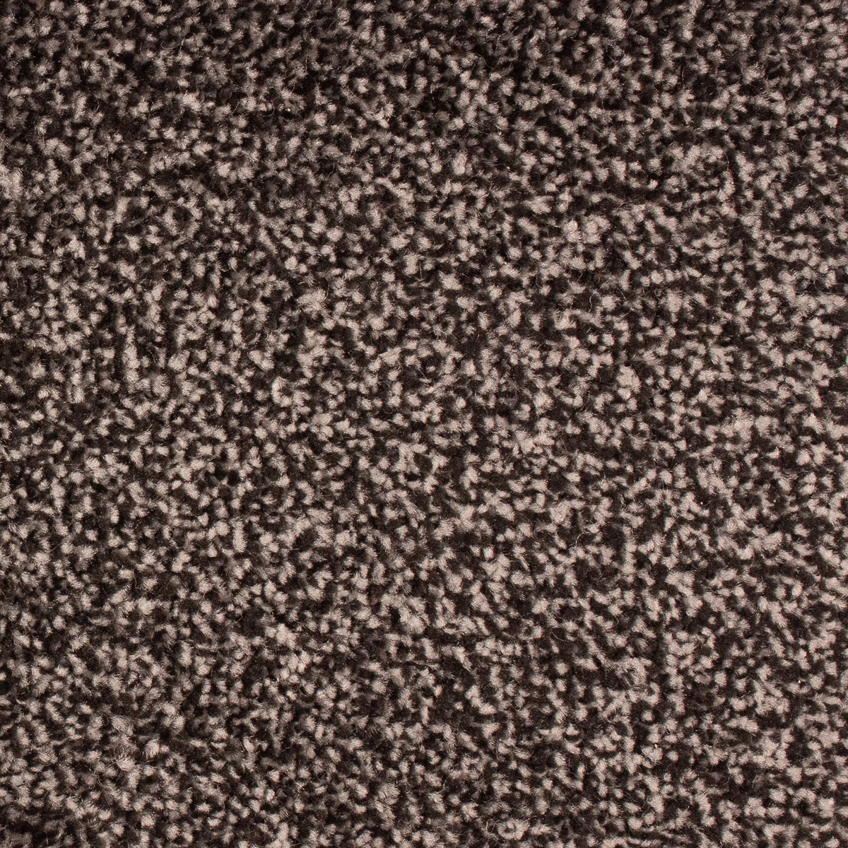 Memphis Noir 178 Carpet