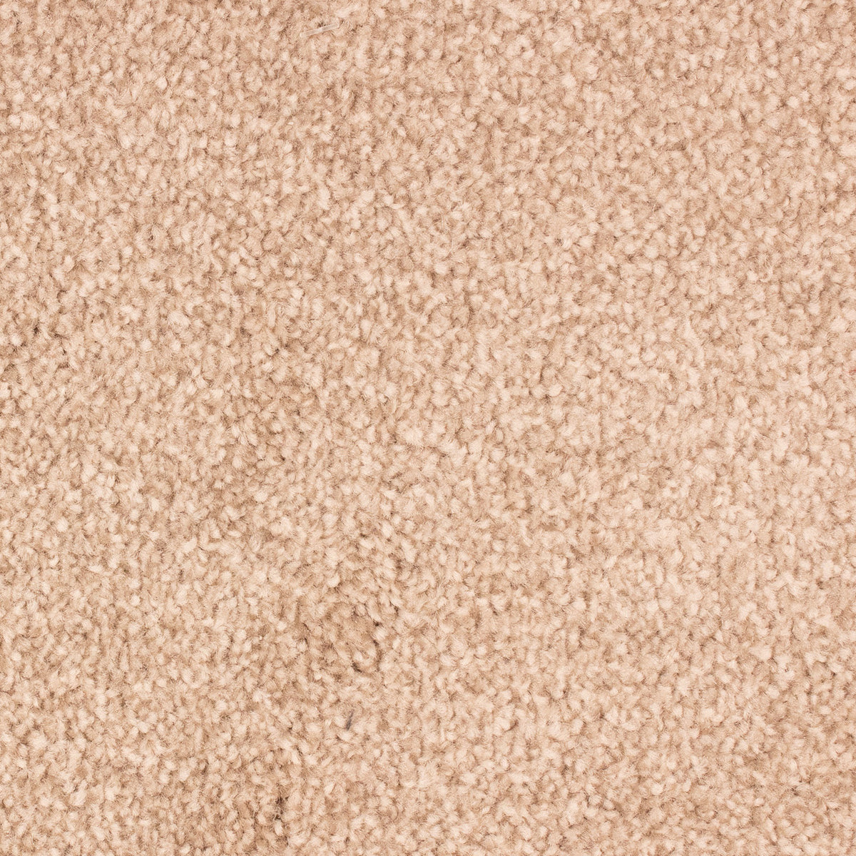 Montego Heavy Felt Natural 168 Carpet