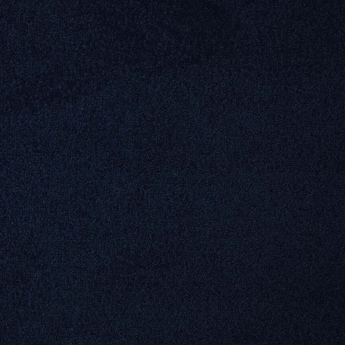 Dynasty Navy 84 Carpet