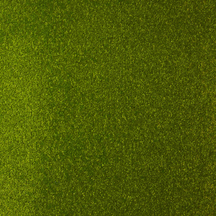 Dynasty Lime 41 Carpet