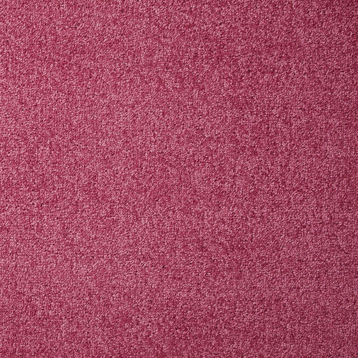 Dynasty Pink 11 Carpet