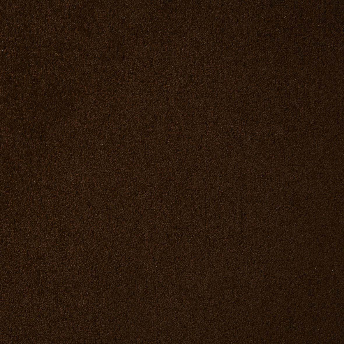 Dynasty Coffee 97 Carpet
