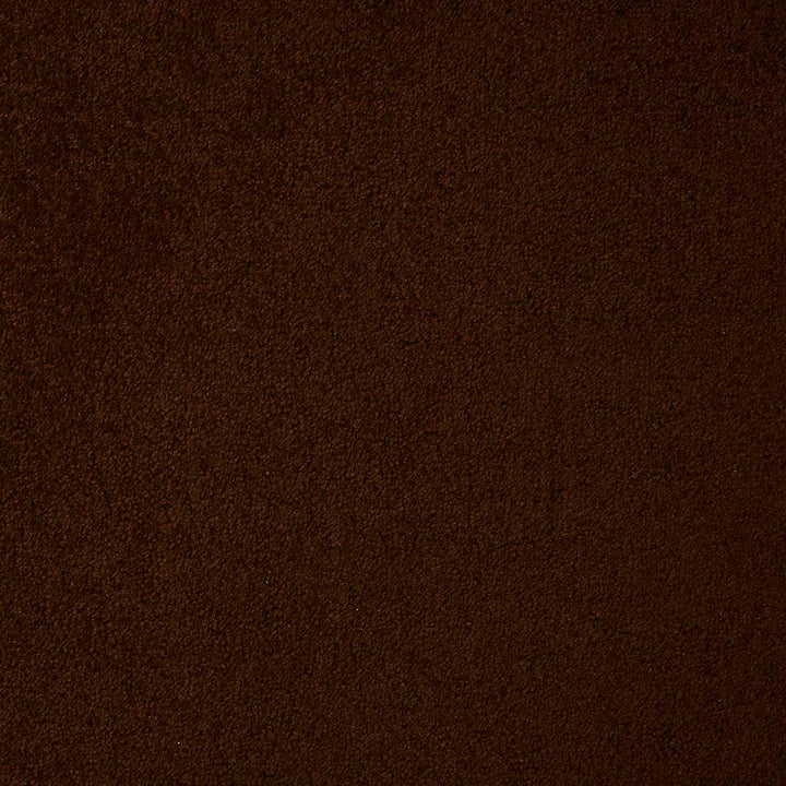 Dynasty Coffee 97 Carpet
