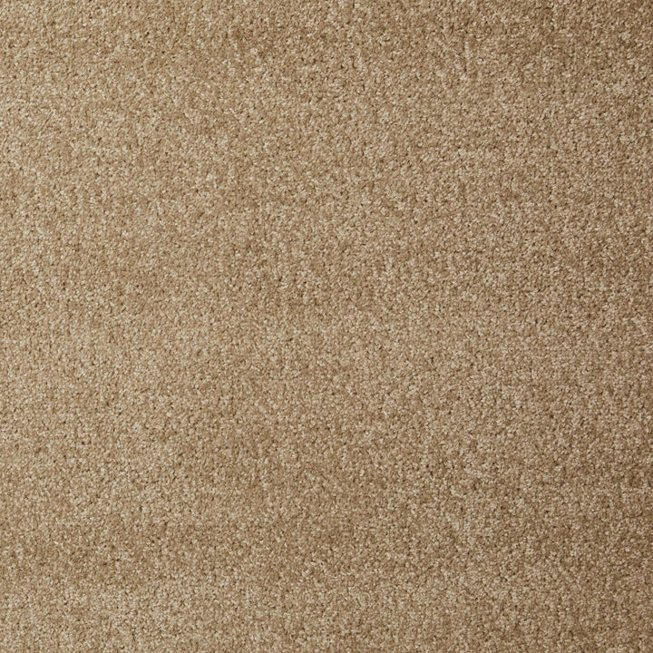 Dynasty Suede 91 Carpet