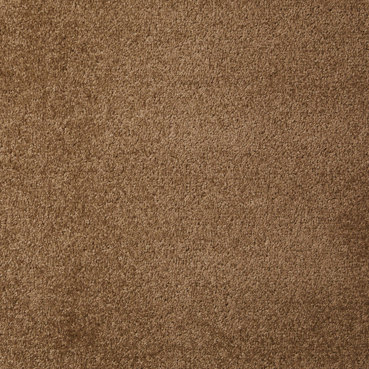 Dynasty Nut 90 Carpet