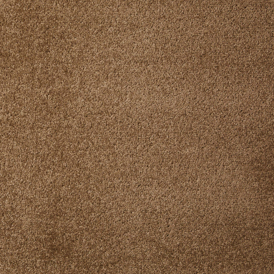 Dynasty Nut 90 Carpet