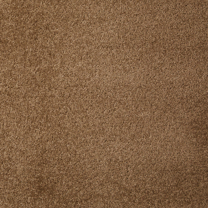 Dynasty Nut 90 Carpet