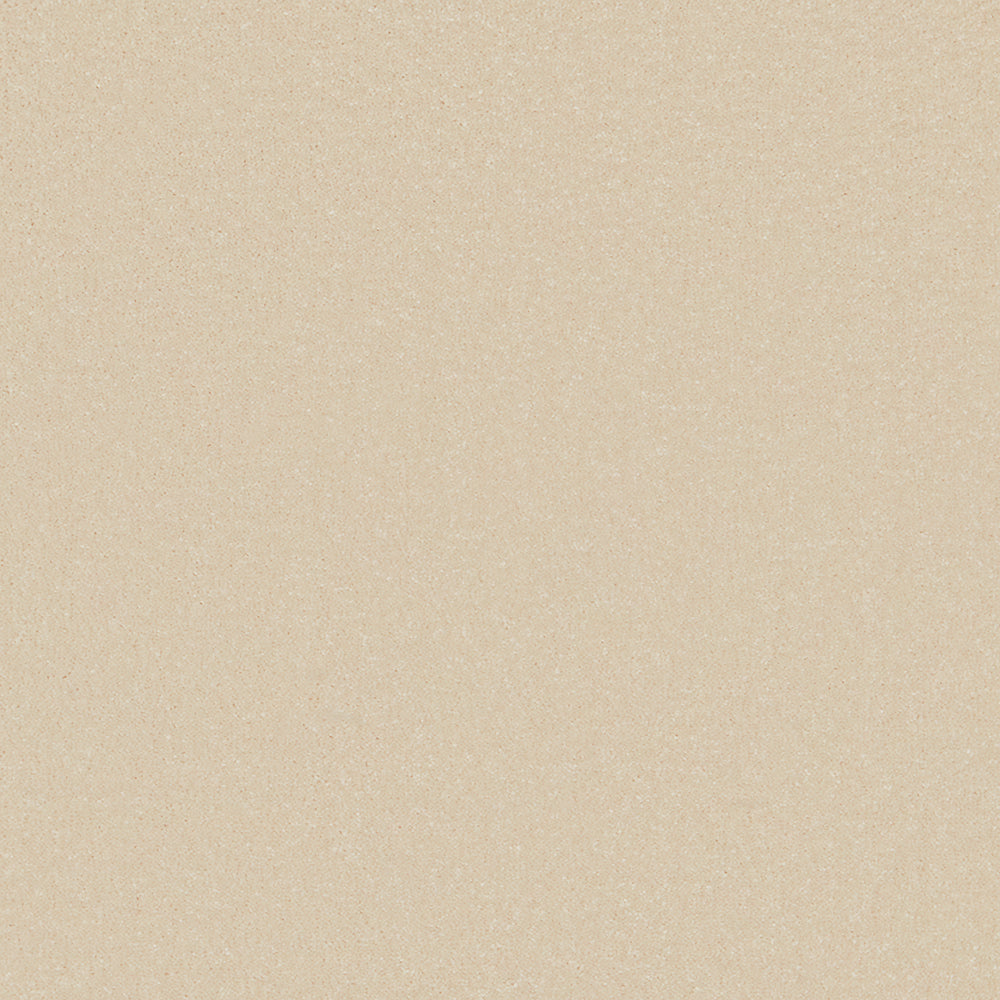 Delicious Fusion Timeless 110 Carpet