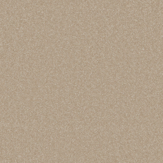 Sentiment Linen 145 Carpet