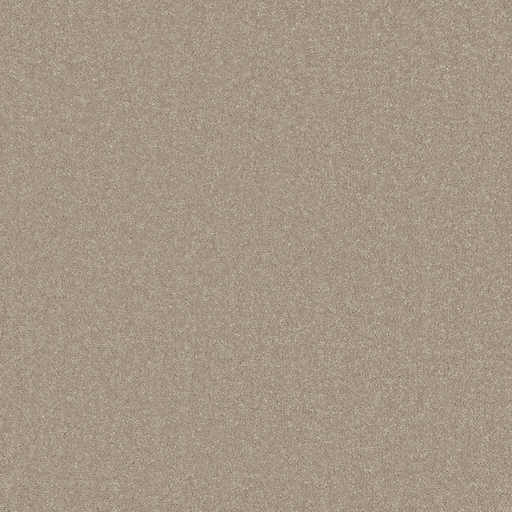 Sentiment Malt 135 Carpet