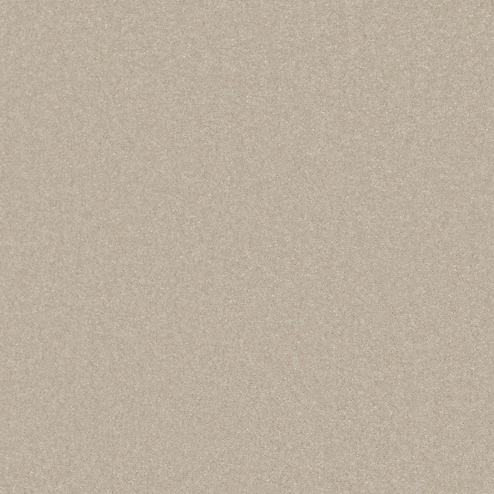 Sentiment Cream 140 Carpet