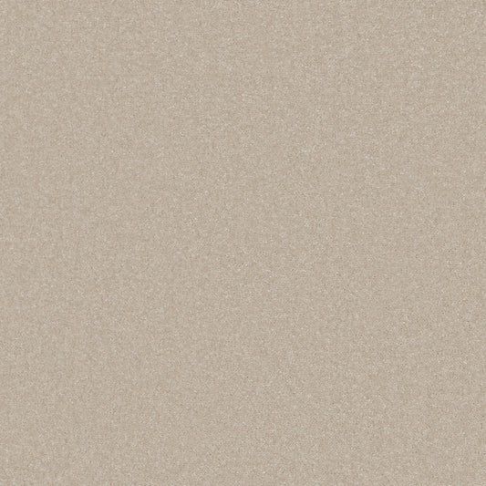 Sentiment Cream 140 Carpet