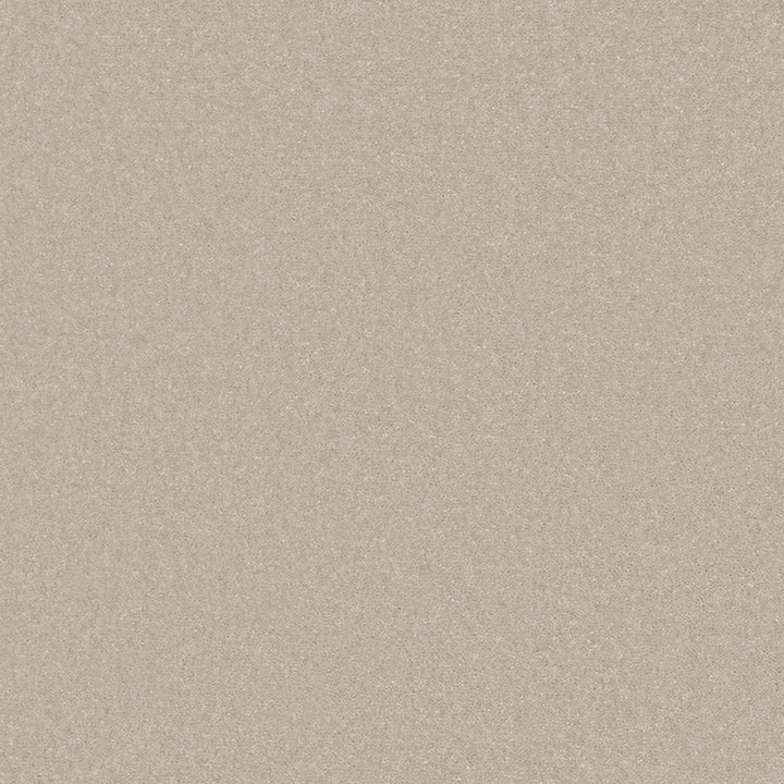 Sentiment Cream 140 Carpet