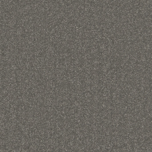 Sentiment Fossil 915 Carpet