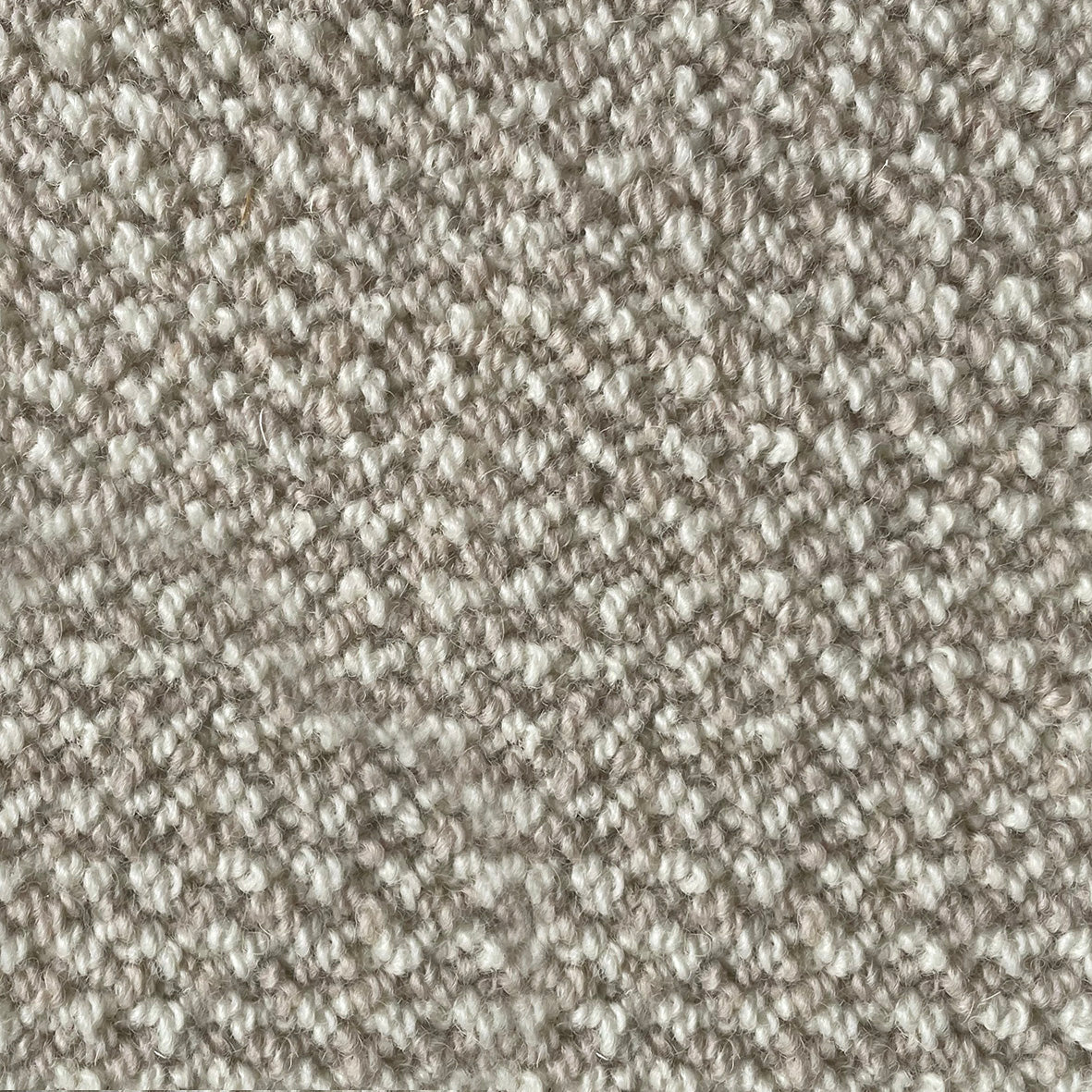 Secret Garden Archibold Carpet