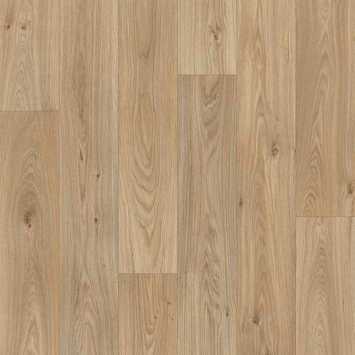 Apollo Vinyl Gambel Oak 621m Vinyl Flooring