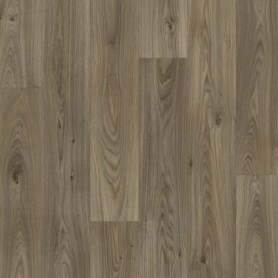 Apollo Vinyl Gambel Oak 619D Vinyl Flooring