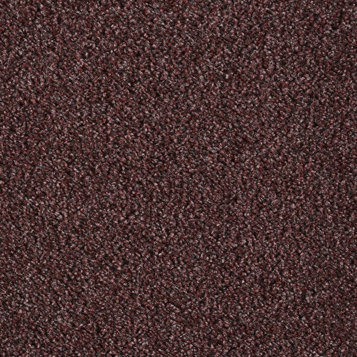 Dublin Heathers AB Mahogany 773 Carpet