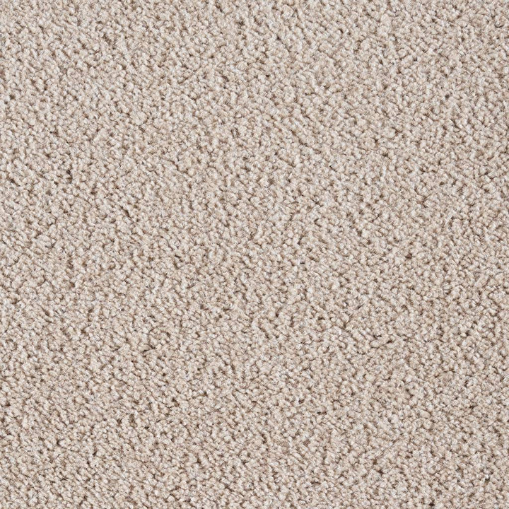 Dublin Heathers Felt Pearl 305 Carpet