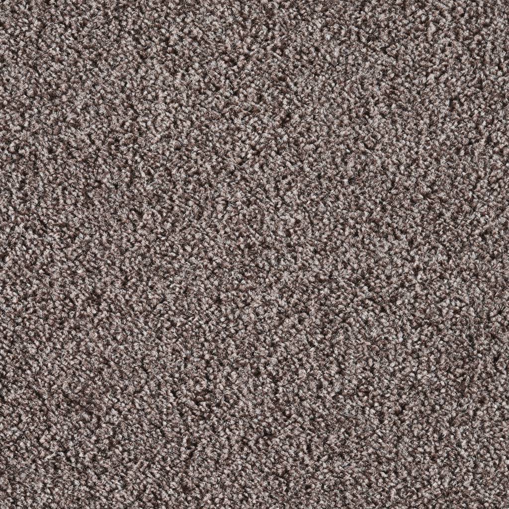Dublin Heathers Felt Beaver 965 Carpet