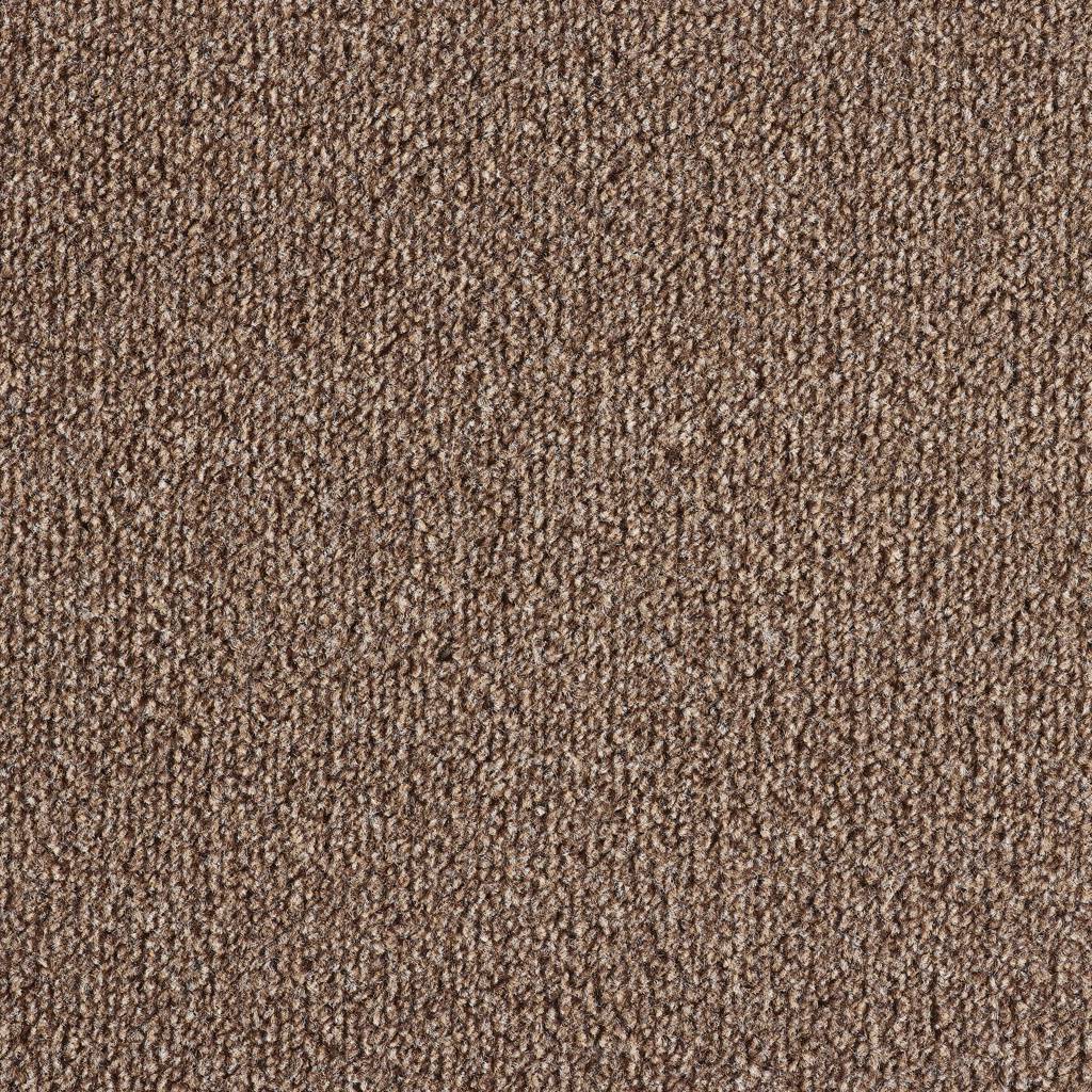 Easy Living Felt Biscuit 918 Carpet