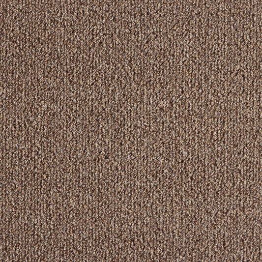Easy Living Felt Biscuit 918 Carpet